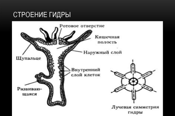 Кракен шоп интернет нарко