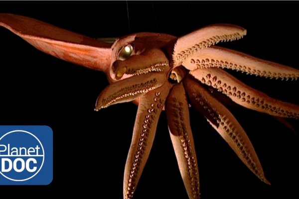Kraken ссылка тор 2krnk biz kraken17ate pro